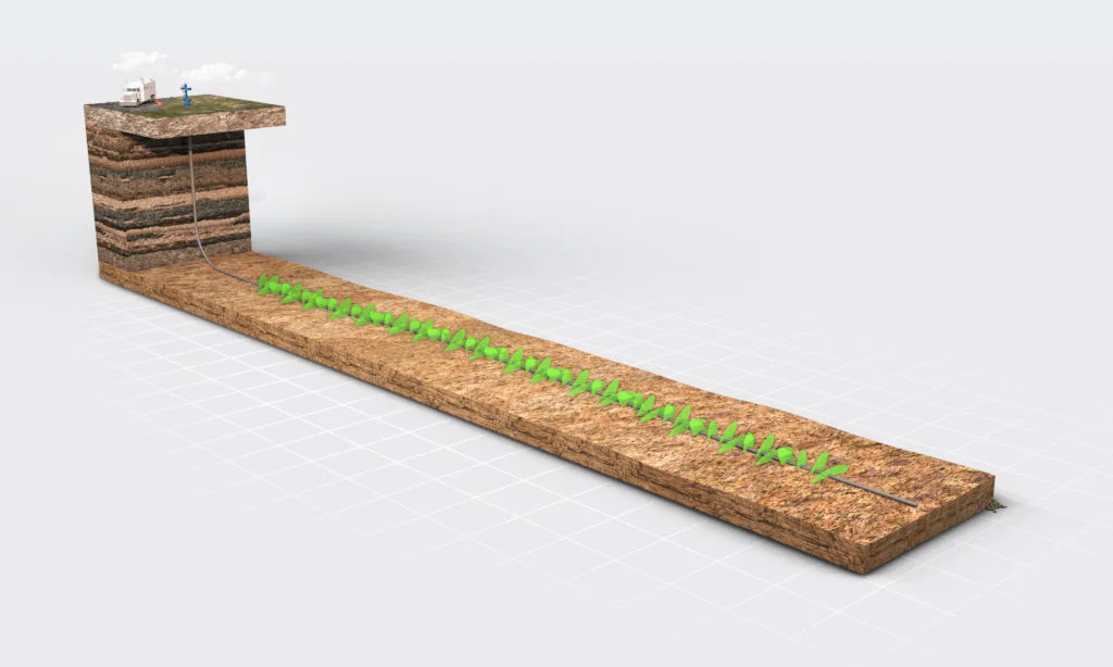 3D illustration of a raised garden bed with layered soil and small green plants growing in neat rows.