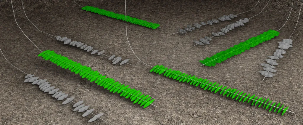 Close-up of a green rake and several grey rakes arranged on dry soil, highlighting garden tools on the ground.