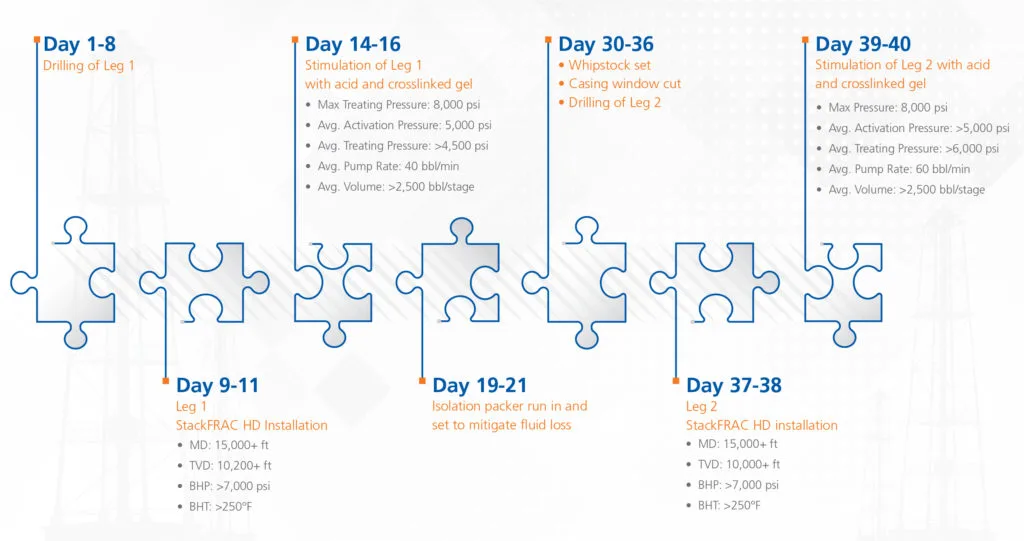 Alt text: Timeline infographic showing a step-by-step process divided into five phases labeled Day 1-8, Day 9-11, Day 14-18, Day 19-21, Day 33-35, Day 37-38, and Day 39-40 with corresponding tasks in puzzle piece shapes.