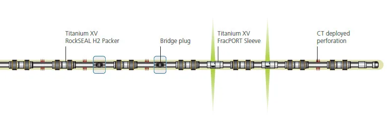 Illustration of a coronary stent showing components like the bare metal stent, fluoropolymer coating, and CT marker perforations.