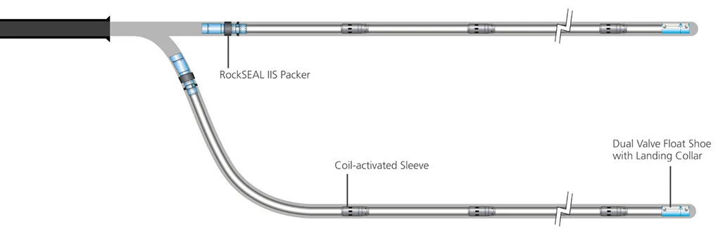 Diagram of a catheter showing the labeled shaft, inflated balloon, and curved distal tip for medical insertion.