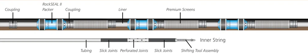 Diagram showing the labeled structure of a myosin protein with its functional regions and domains.
