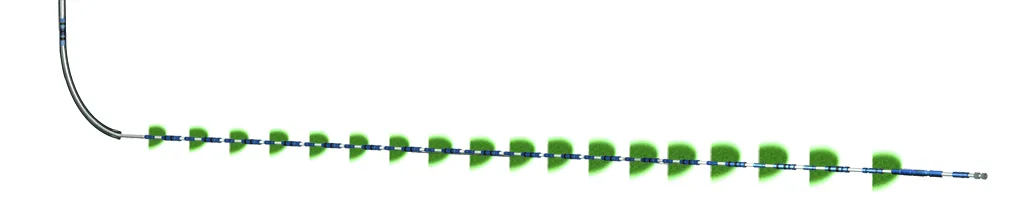 A close-up image of a green climbing plant stem with evenly spaced heart-shaped leaves against a white background.
