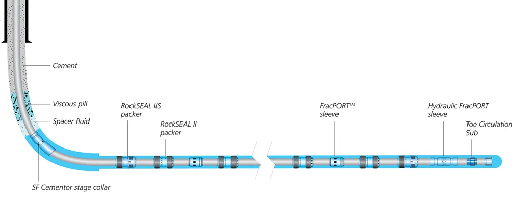 Diagram showing the amino acid sequence and key motifs of a protein's C-terminal region, highlighting phosphorylation sites and functional domains.