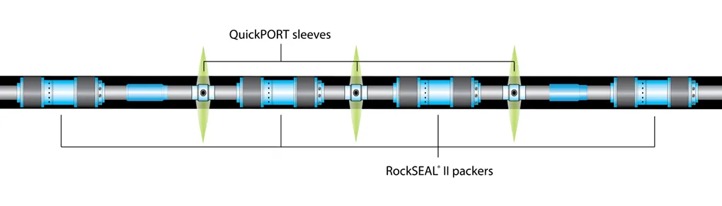 Diagram of a DNA sequence highlighting QuickPORT alleles and BoxNAT-2 spacers along the gene strand.