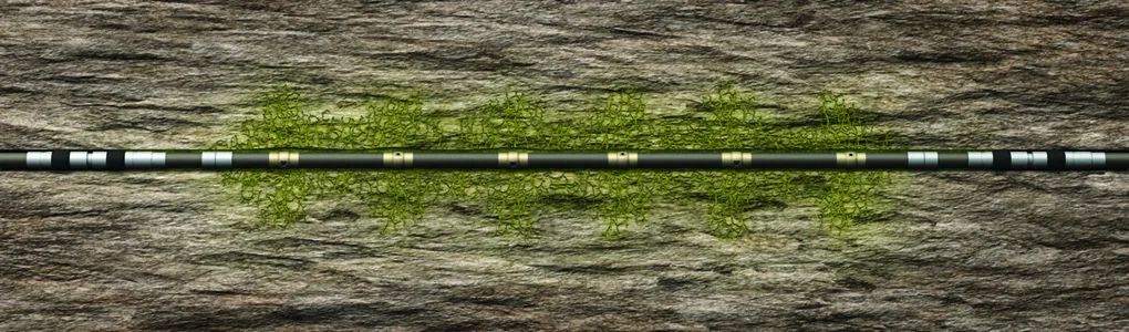 Close-up image of a weathered wooden surface with patches of green moss and a partially visible black-and-white measuring scale.